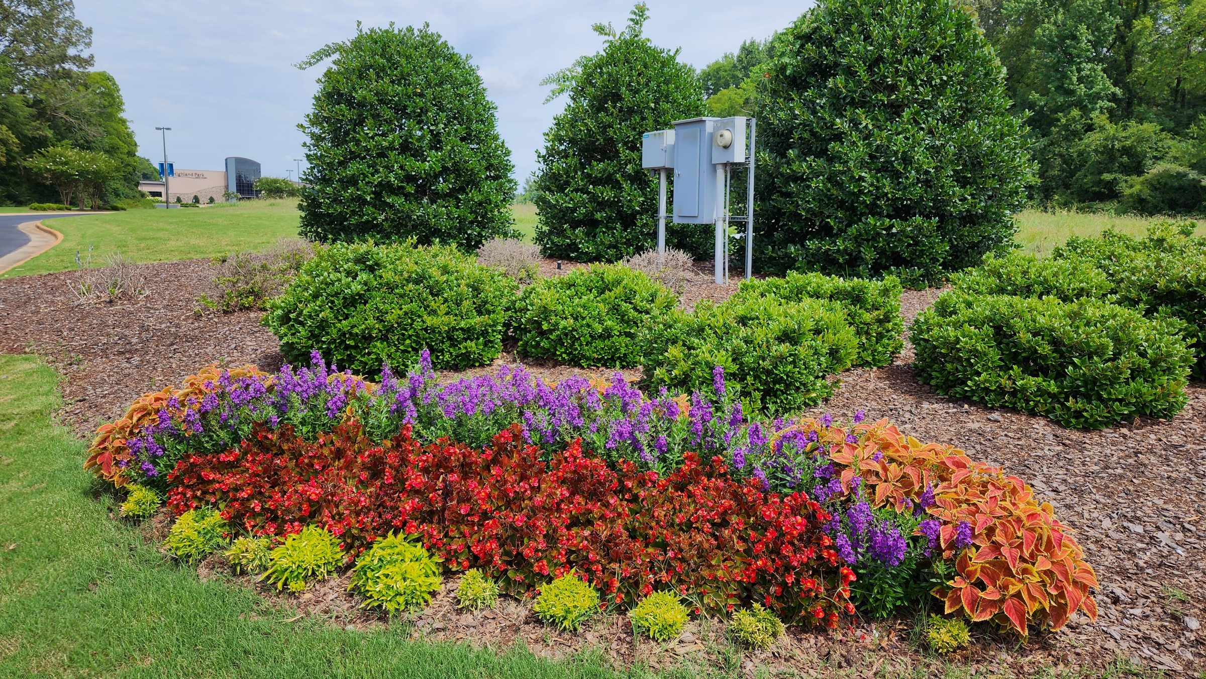 Colorful flower bed in landscaped garden