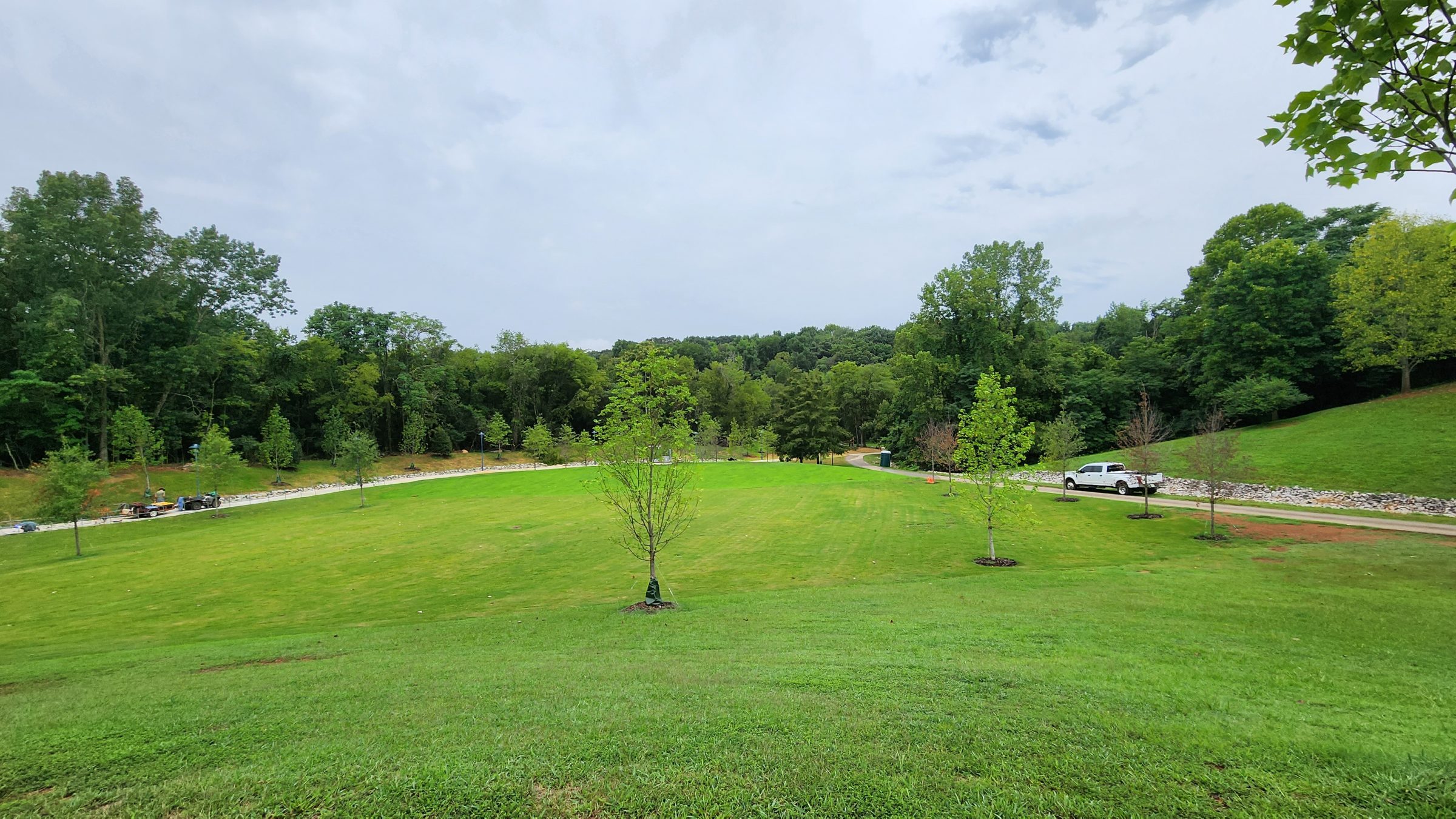 Lush green park with trees and path