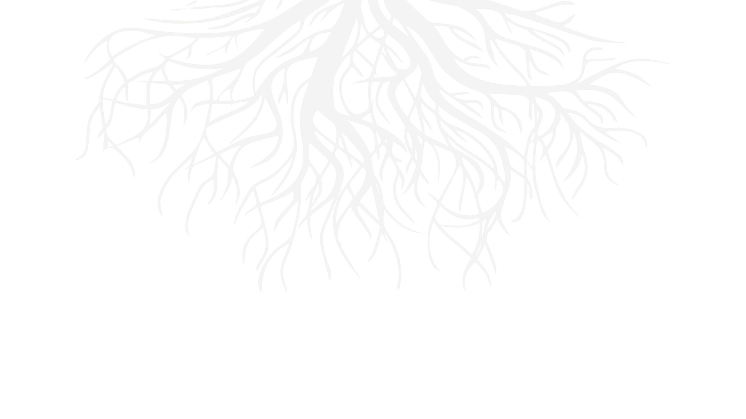 Delicate, branching tree roots illustration.