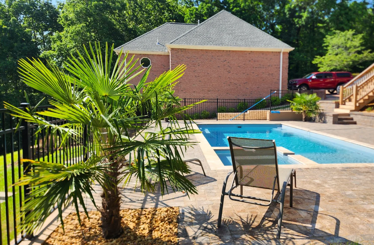 Private backyard pool with palm tree