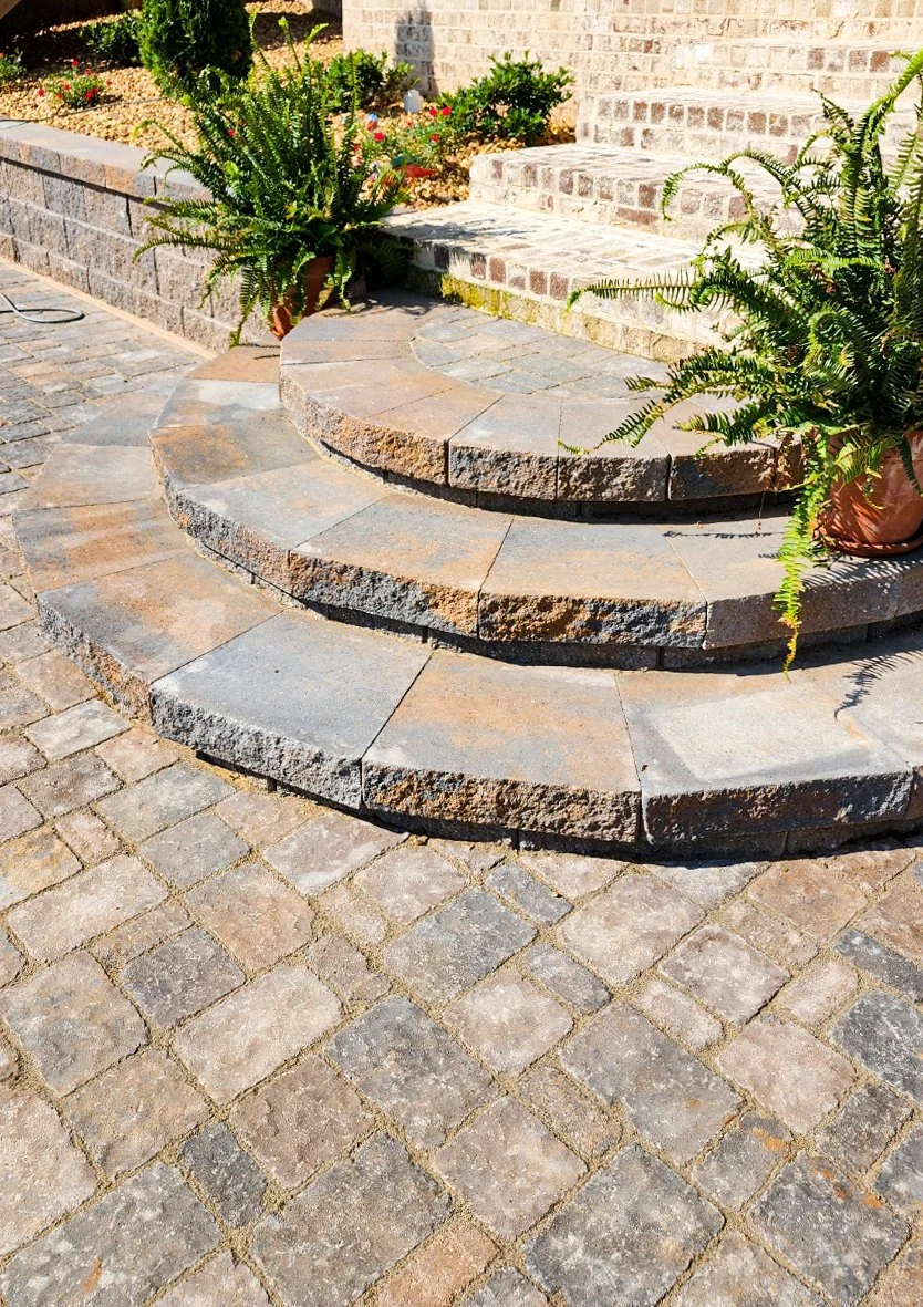 Stone steps with potted ferns