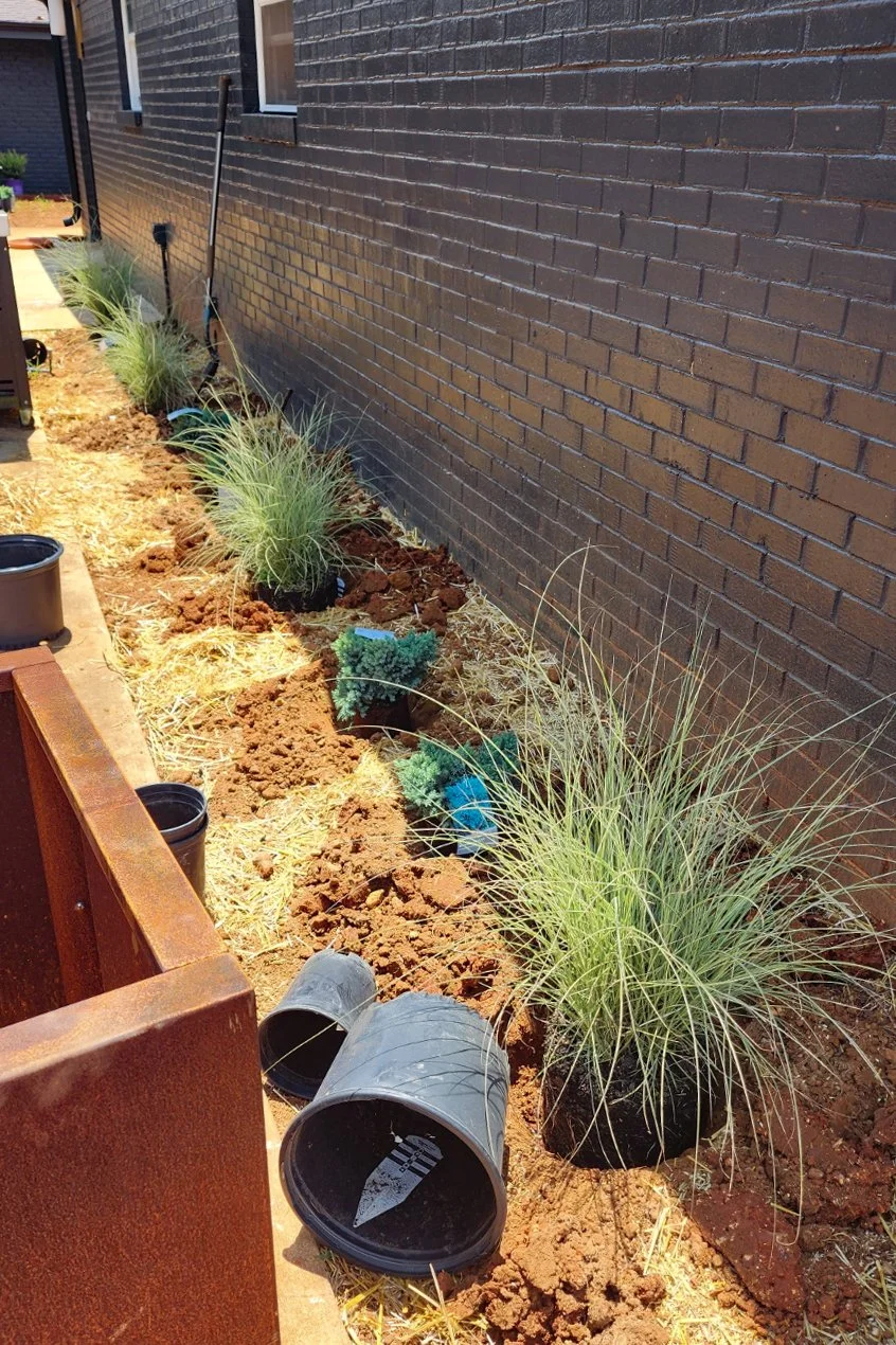 Newly planted garden beside brick wall.