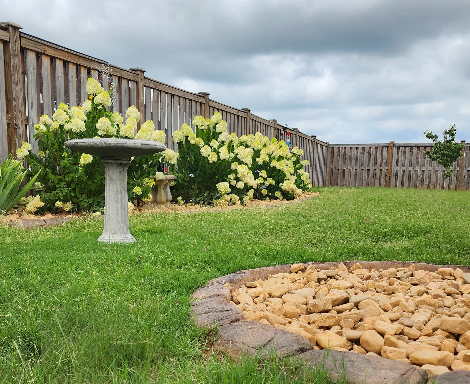 Garden with birdbath and hydrangeas