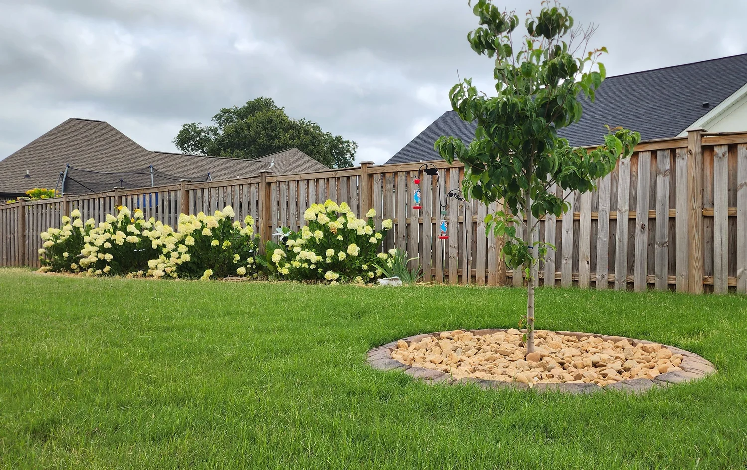 Backyard garden with tree and flowers
