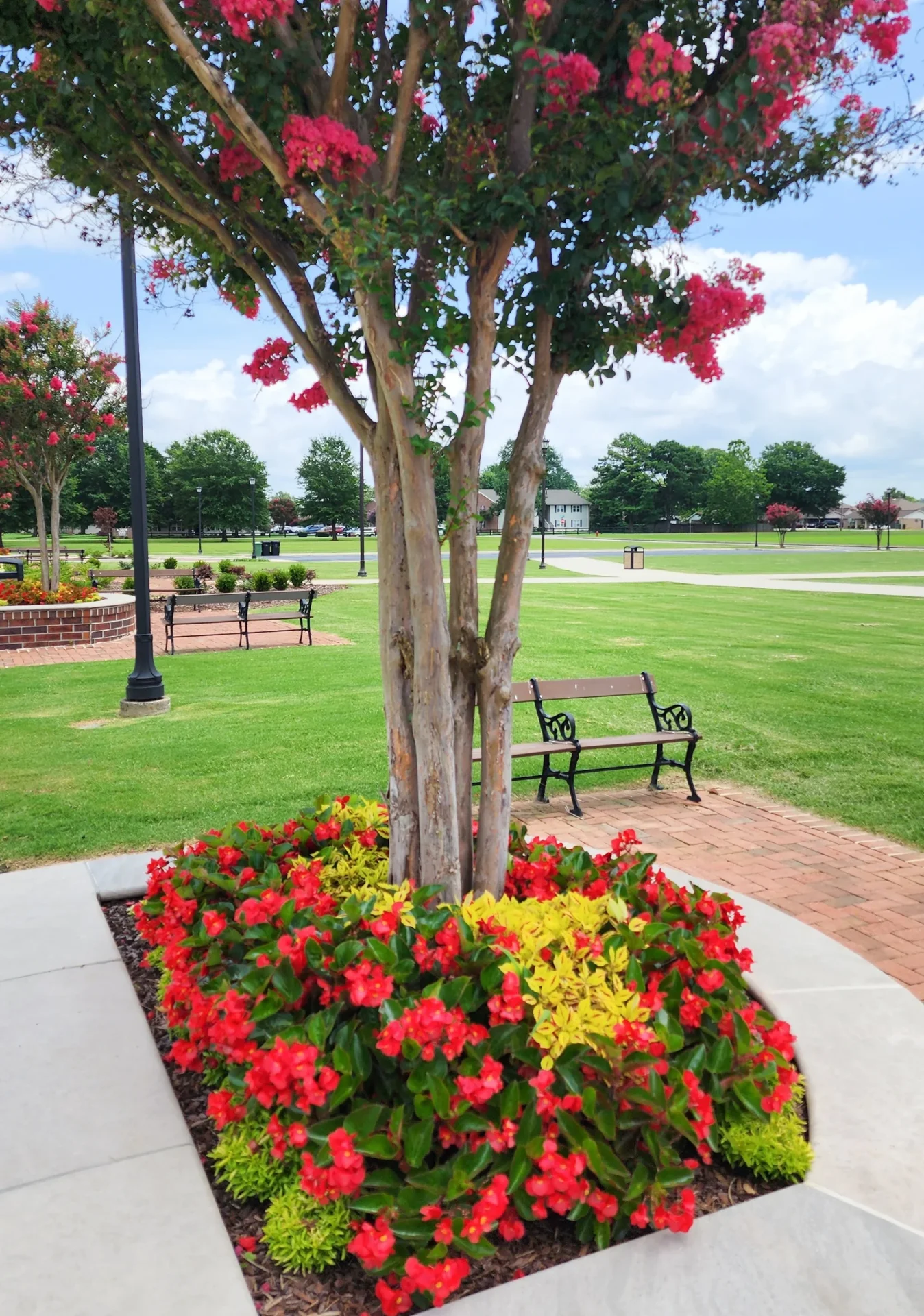 Colorful park scene with flowers and benches