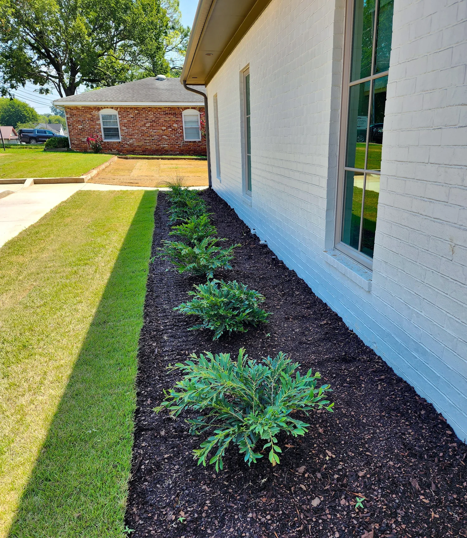 Neatly landscaped garden beside white brick house