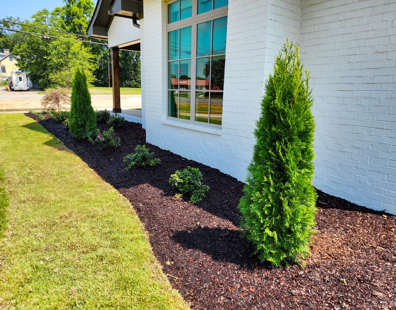 Landscaped garden with shrubs and white building