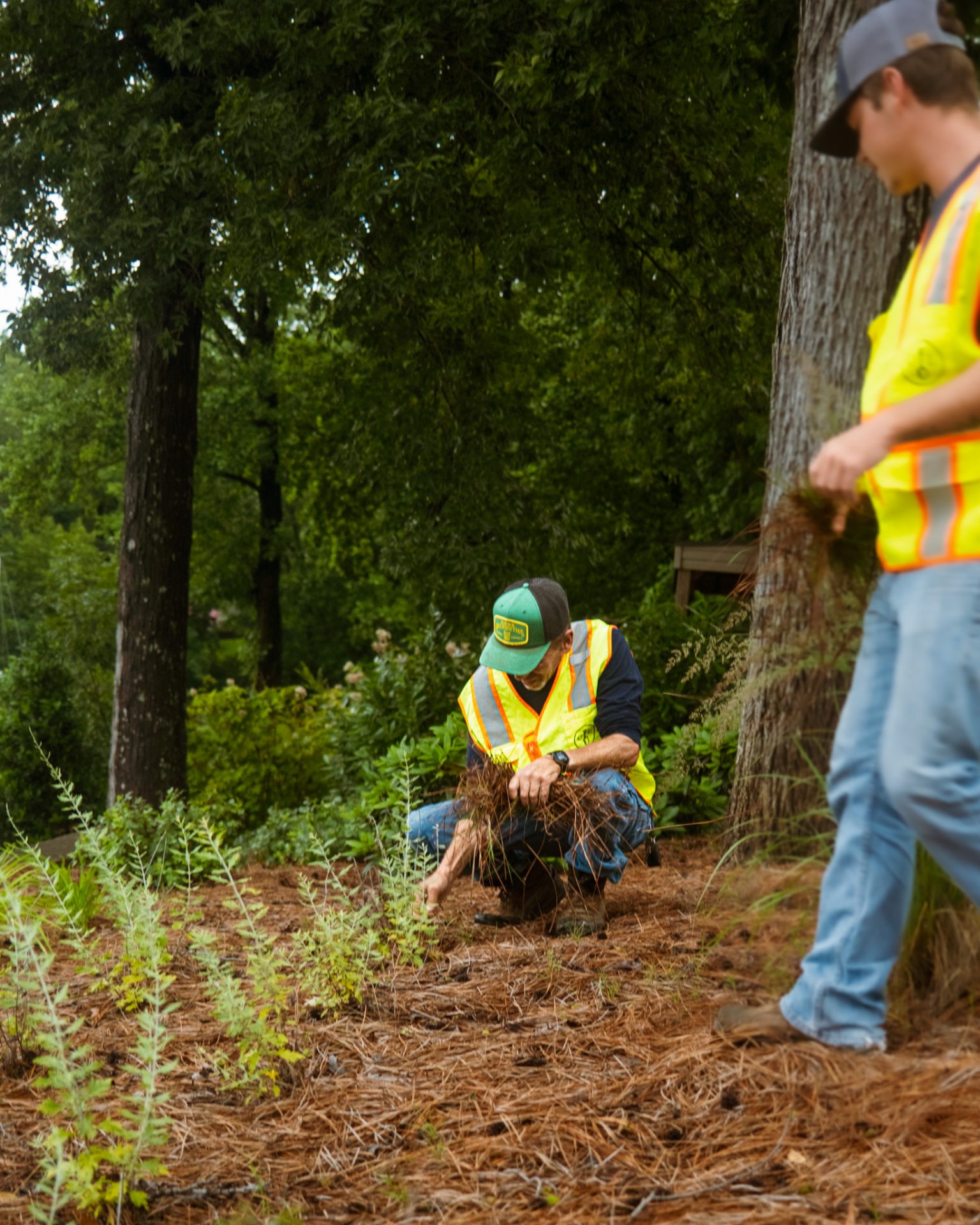 Workers maintaining a garden space outdoors
