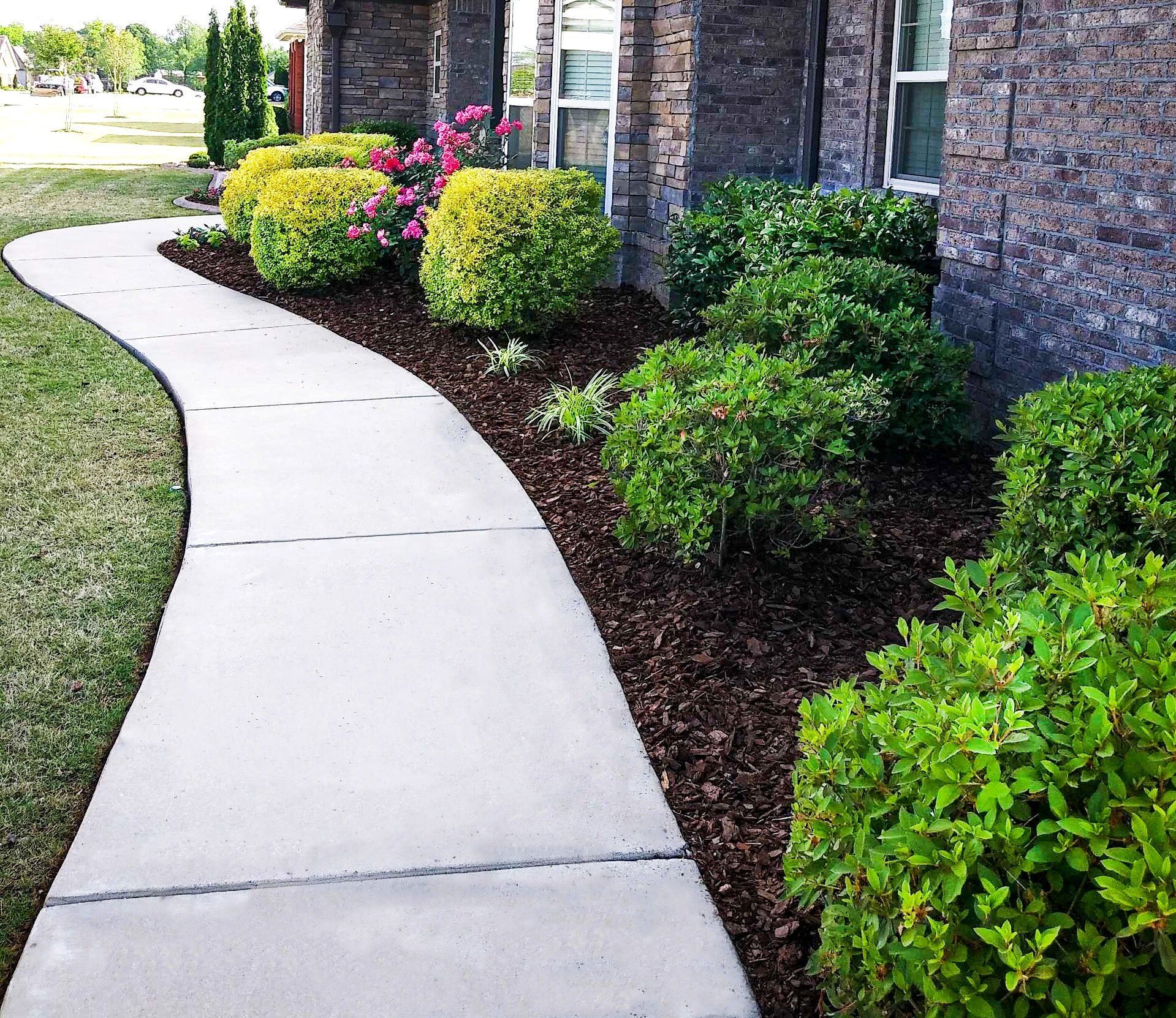 Curved walkway with lush green bushes